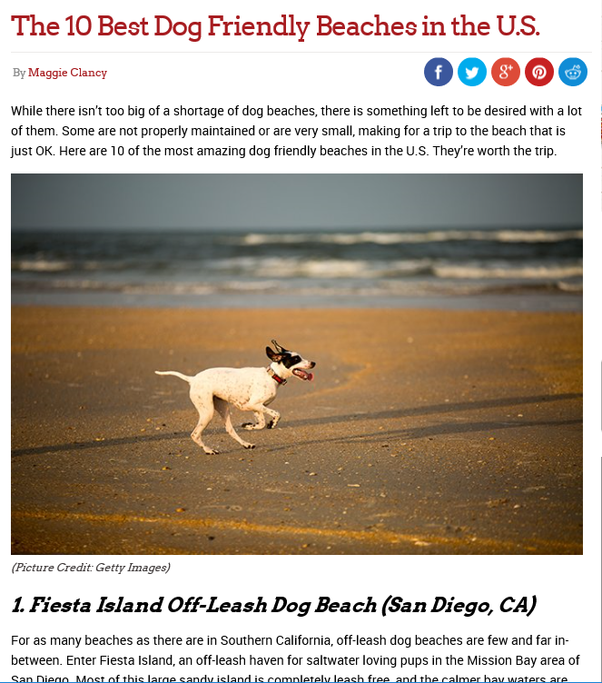Fido And While You Re Here Check Out Our View Of How Fiesta Island S Leash Free Area Should Be Developed Versus The City